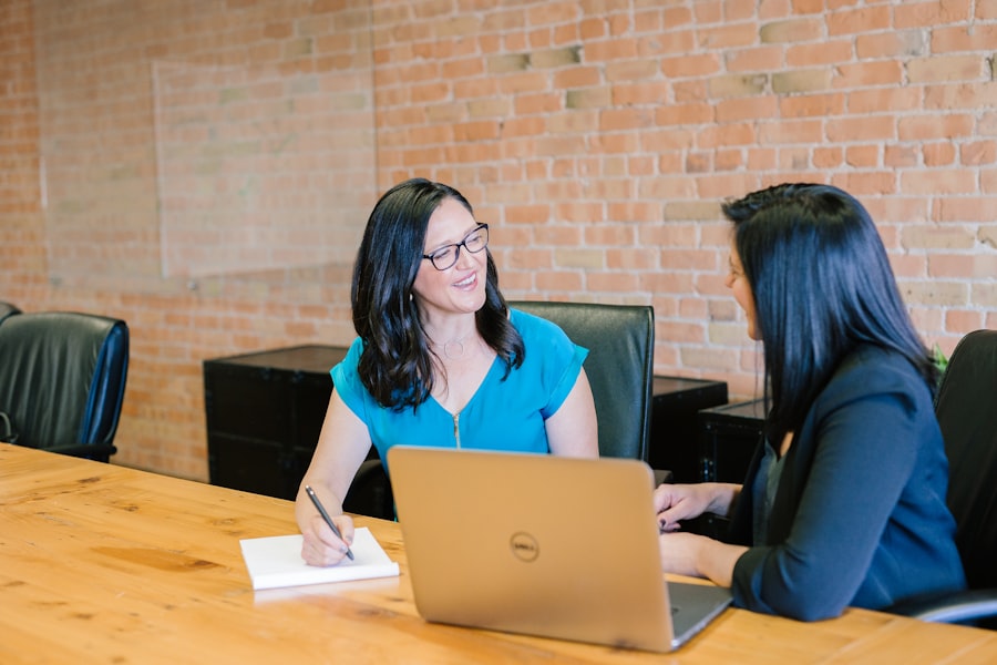 Consultant meeting with a client